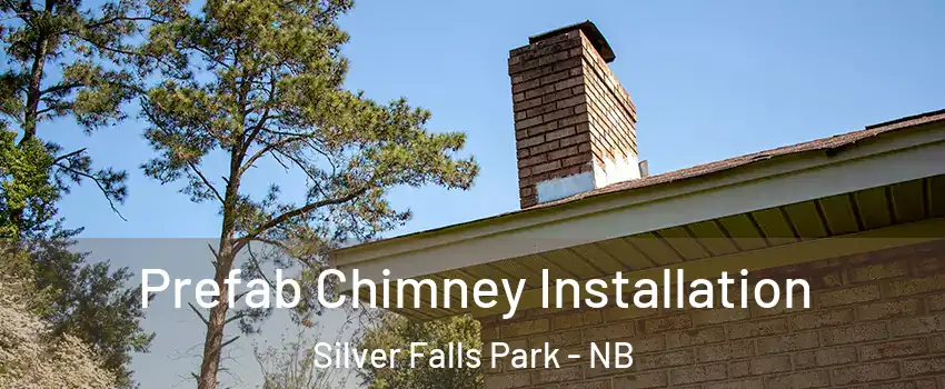  Prefab Chimney Installation Silver Falls Park - NB