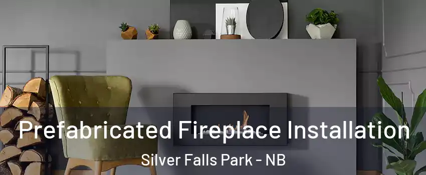  Prefabricated Fireplace Installation Silver Falls Park - NB