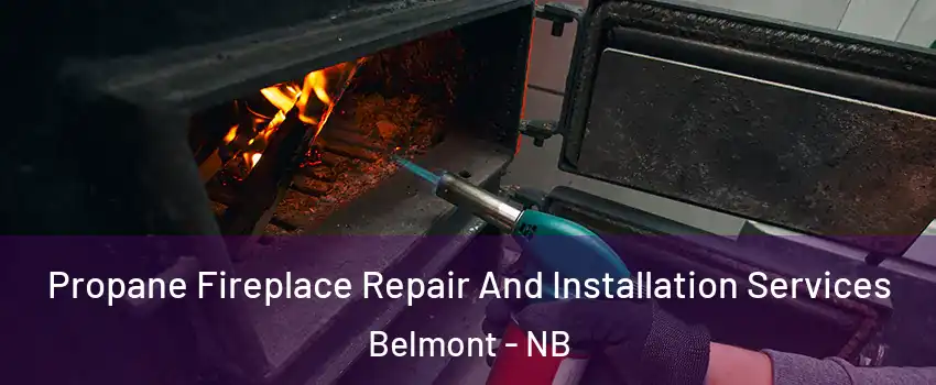 Propane Fireplace Repair And Installation Services Belmont - NB