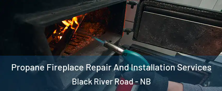 Propane Fireplace Repair And Installation Services Black River Road - NB