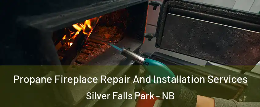 Propane Fireplace Repair And Installation Services Silver Falls Park - NB