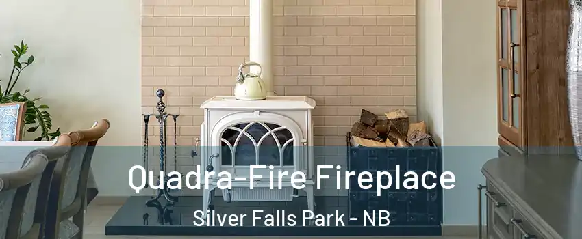  Quadra-Fire Fireplace Silver Falls Park - NB