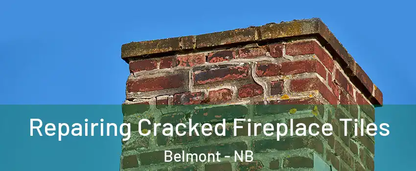 Repairing Cracked Fireplace Tiles Belmont - NB