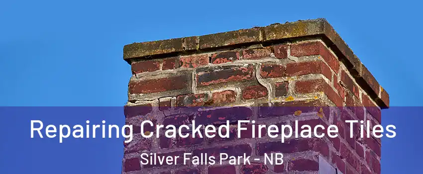 Repairing Cracked Fireplace Tiles Silver Falls Park - NB
