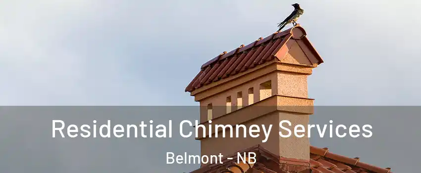  Residential Chimney Services Belmont - NB
