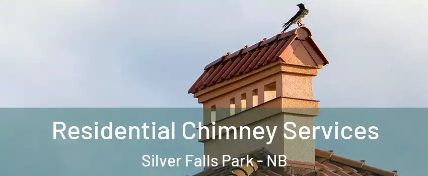  Residential Chimney Services Silver Falls Park - NB