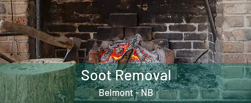  Soot Removal Belmont - NB