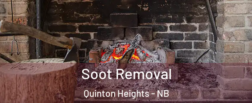  Soot Removal Quinton Heights - NB