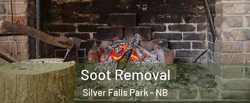  Soot Removal Silver Falls Park - NB