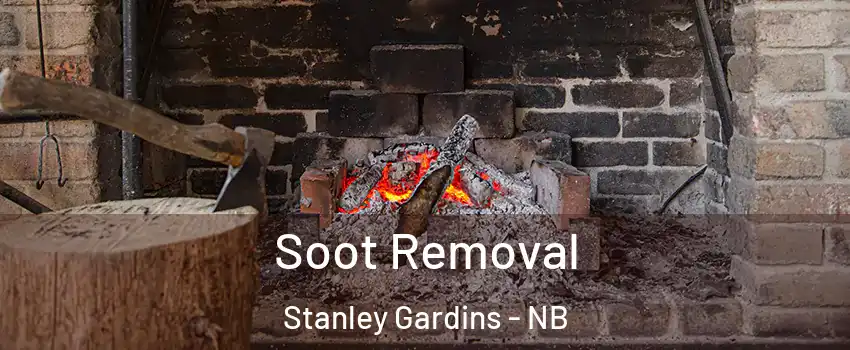  Soot Removal Stanley Gardins - NB