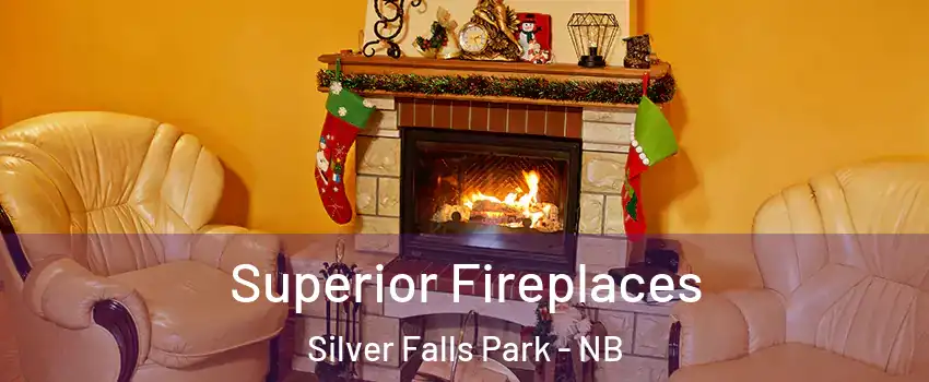  Superior Fireplaces Silver Falls Park - NB