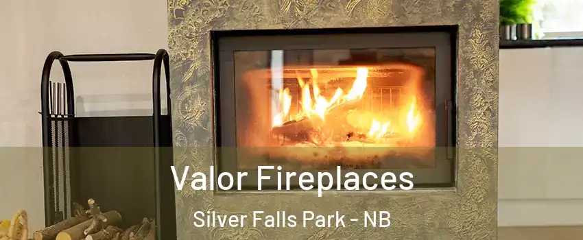  Valor Fireplaces Silver Falls Park - NB