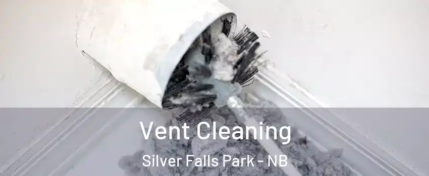  Vent Cleaning Silver Falls Park - NB