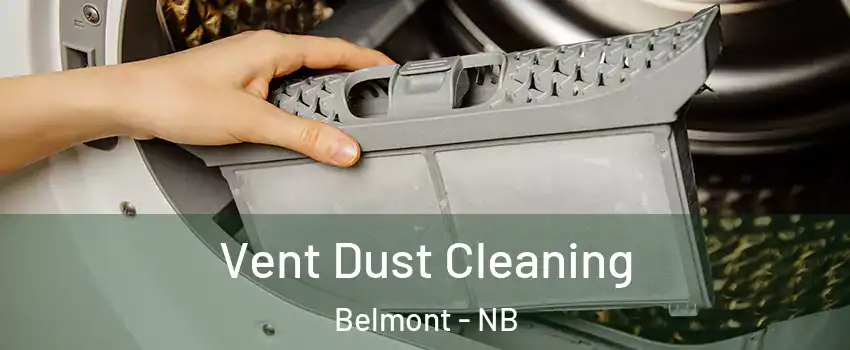  Vent Dust Cleaning Belmont - NB