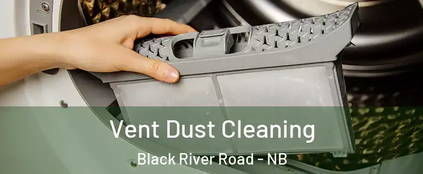  Vent Dust Cleaning Black River Road - NB