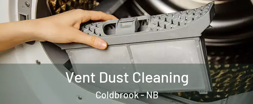  Vent Dust Cleaning Coldbrook - NB