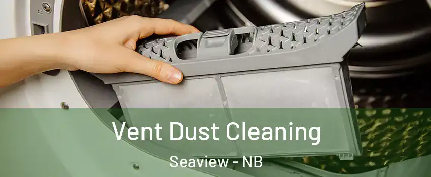  Vent Dust Cleaning Seaview - NB