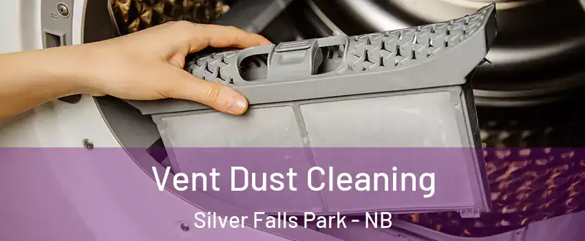  Vent Dust Cleaning Silver Falls Park - NB