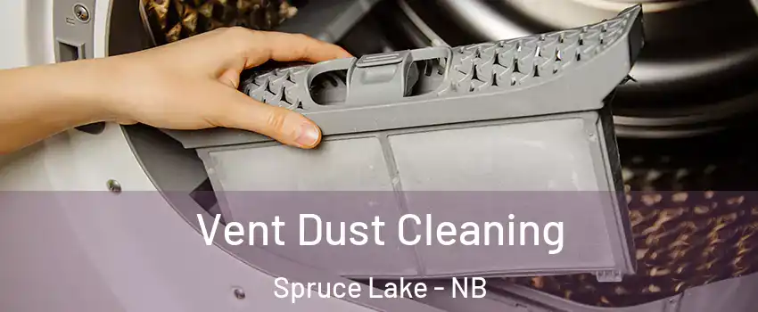  Vent Dust Cleaning Spruce Lake - NB