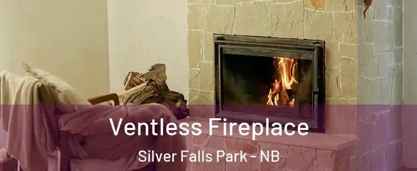  Ventless Fireplace Silver Falls Park - NB
