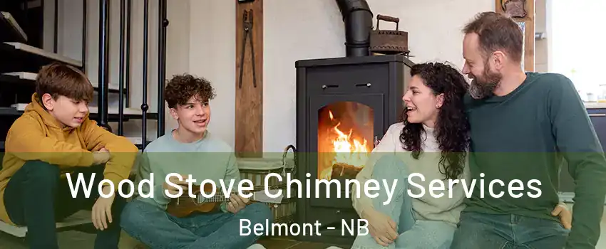  Wood Stove Chimney Services Belmont - NB