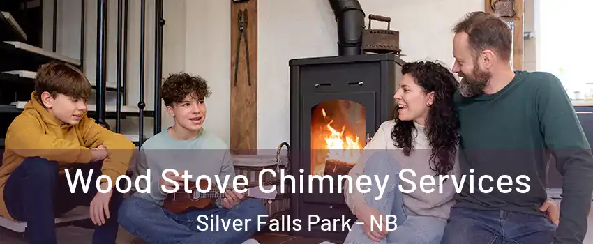  Wood Stove Chimney Services Silver Falls Park - NB
