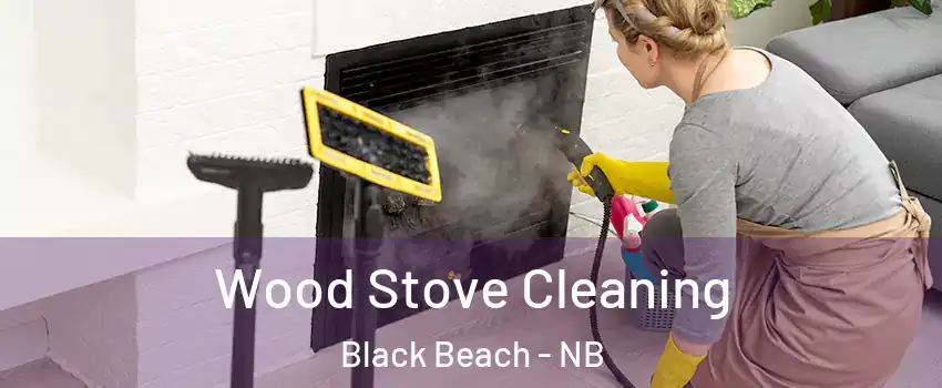  Wood Stove Cleaning Black Beach - NB