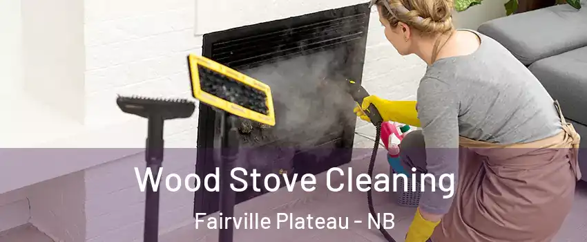  Wood Stove Cleaning Fairville Plateau - NB